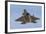 A U.S. Air Force F-22 Raptor-Stocktrek Images-Framed Photographic Print