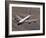 A U.S. Air Force RC-135 Rivet Joint Reconnaissance Aircraft-Stocktrek Images-Framed Photographic Print