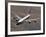 A U.S. Air Force RC-135 Rivet Joint Reconnaissance Aircraft-Stocktrek Images-Framed Photographic Print