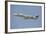 A U.S. Air Forces in Europe C-21 Learjet Flying over Stuttgart, Germany-Stocktrek Images-Framed Photographic Print