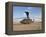 A UH-60 Black Hawk Helicopter at Camp Speicher, Iraq-null-Framed Premier Image Canvas