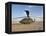 A UH-60 Black Hawk Helicopter at Camp Speicher, Iraq-null-Framed Premier Image Canvas