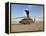 A UH-60 Black Hawk Helicopter at Camp Speicher, Iraq-null-Framed Premier Image Canvas