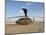 A UH-60 Black Hawk Helicopter at Camp Speicher, Iraq-null-Mounted Photographic Print