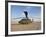 A UH-60 Black Hawk Helicopter at Camp Speicher, Iraq-null-Framed Photographic Print