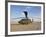 A UH-60 Black Hawk Helicopter at Camp Speicher, Iraq-null-Framed Photographic Print