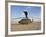 A UH-60 Black Hawk Helicopter at Camp Speicher, Iraq-null-Framed Photographic Print