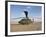 A UH-60 Black Hawk Helicopter at Camp Speicher, Iraq-null-Framed Photographic Print