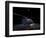 A UH-60 Black Hawk Helicopter Parked on the Flight Line under a Full Moon-null-Framed Photographic Print