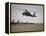 A UH-60 Black Hawk Taking Off for a Mission over Northern Iraq-null-Framed Premier Image Canvas