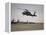 A UH-60 Black Hawk Taking Off for a Mission over Northern Iraq-null-Framed Premier Image Canvas