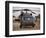 A UH-60L Black Hawk with Twin M240G Machine Guns at the Victory Base Complex in Baghdad, Iraq-null-Framed Photographic Print