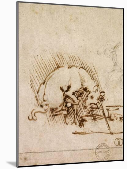A Unicorn Dipping its Horn into a Pool of Water, C.1481-Leonardo da Vinci-Mounted Giclee Print