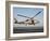 A US Navy SH-60F Seahawk Hovers Above the Flight Deck of USS Eisenhower-Stocktrek Images-Framed Photographic Print