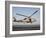 A US Navy SH-60F Seahawk Hovers Above the Flight Deck of USS Eisenhower-Stocktrek Images-Framed Photographic Print