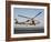 A US Navy SH-60F Seahawk Hovers Above the Flight Deck of USS Eisenhower-Stocktrek Images-Framed Photographic Print