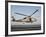 A US Navy SH-60F Seahawk Hovers Above the Flight Deck of USS Eisenhower-Stocktrek Images-Framed Photographic Print