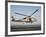 A US Navy SH-60F Seahawk Hovers Above the Flight Deck of USS Eisenhower-Stocktrek Images-Framed Photographic Print