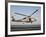 A US Navy SH-60F Seahawk Hovers Above the Flight Deck of USS Eisenhower-Stocktrek Images-Framed Photographic Print