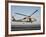 A US Navy SH-60F Seahawk Hovers Above the Flight Deck of USS Eisenhower-Stocktrek Images-Framed Photographic Print