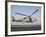 A US Navy SH-60F Seahawk Hovers Above the Flight Deck of USS Eisenhower-Stocktrek Images-Framed Photographic Print