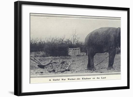 Photographic Print, , large