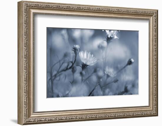 A vague feeling ll-Heidi Westum-Framed Photographic Print