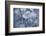 A vague feeling ll-Heidi Westum-Framed Photographic Print