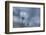 a vague feeling-Heidi Westum-Framed Photographic Print