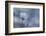 a vague feeling-Heidi Westum-Framed Photographic Print