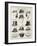 A Variety of Men's Hats-null-Framed Photographic Print