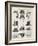 A Variety of Men's Hats-null-Framed Photographic Print