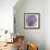 A Varity of Lilacs-Joanne Porter-Framed Giclee Print displayed on a wall