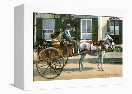 A Vegetable Dealer, Bermuda, C1900s-null-Framed Premier Image Canvas