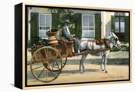 A Vegetable Dealer, Bermuda, C1900s-null-Framed Premier Image Canvas