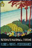 Patronato Nacional Del Turismo Spanish Travel Poster-A. Vercher-Mounted Giclee Print