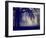 A Very Foggy Day in the Park-graphicphoto-Framed Photographic Print