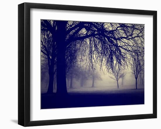 A Very Foggy Day in the Park-graphicphoto-Framed Photographic Print