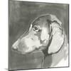 A Very Neutral Modern Dog II-null-Mounted Art Print