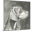 A Very Neutral Modern Dog IV-null-Mounted Art Print