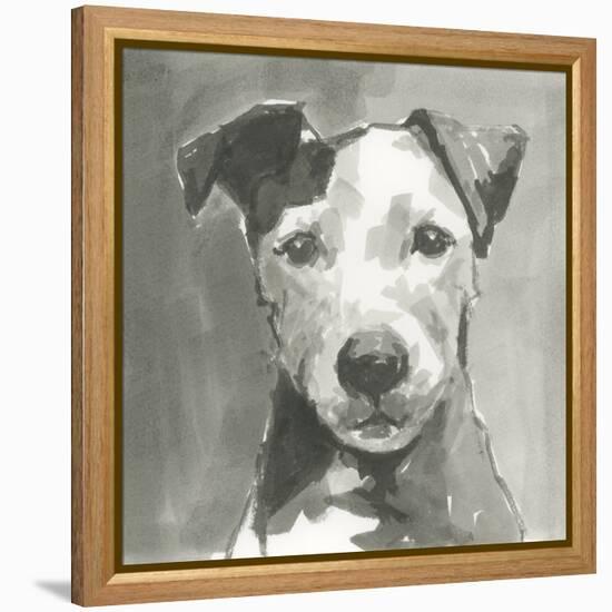 A Very Neutral Modern Dog VI-null-Framed Stretched Canvas