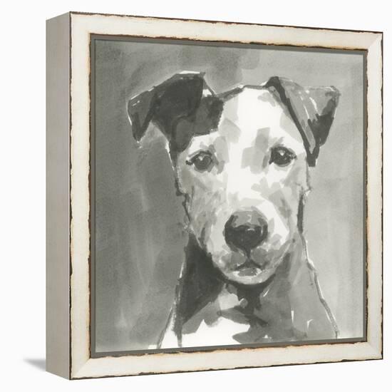 A Very Neutral Modern Dog VI-null-Framed Stretched Canvas