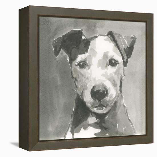 A Very Neutral Modern Dog VI-null-Framed Stretched Canvas