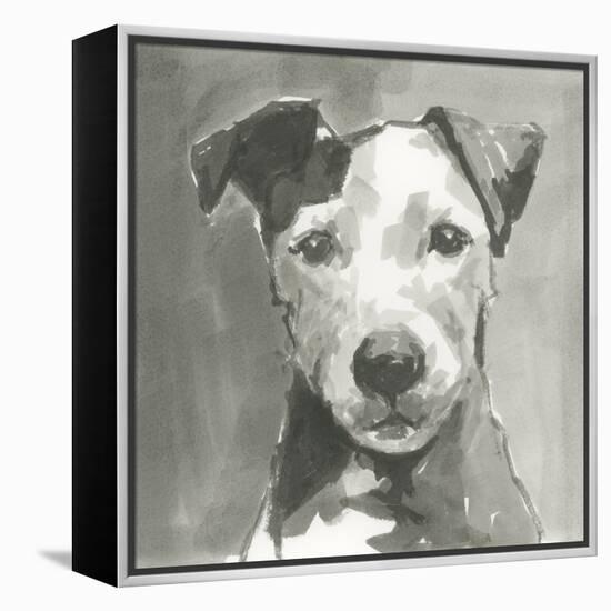 A Very Neutral Modern Dog VI-null-Framed Stretched Canvas