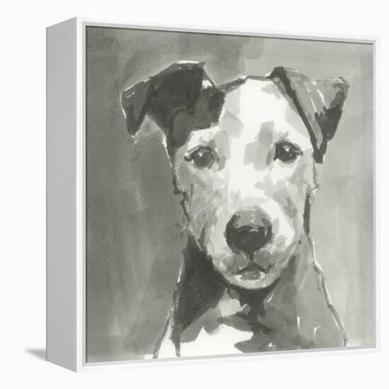 A Very Neutral Modern Dog VI-null-Framed Stretched Canvas