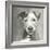 A Very Neutral Modern Dog VI-null-Framed Art Print