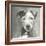 A Very Neutral Modern Dog VI-null-Framed Art Print