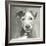 A Very Neutral Modern Dog VI-null-Framed Art Print