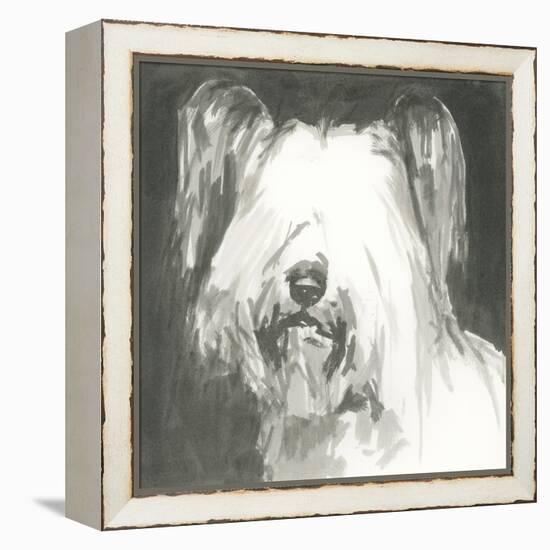 A Very Neutral Modern Dog VIII-null-Framed Stretched Canvas
