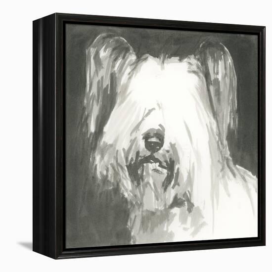 A Very Neutral Modern Dog VIII-null-Framed Stretched Canvas